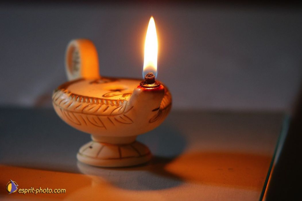 Nom de l'image : EP08-0232_(c)Norbert-JUNG — Description :